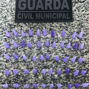 GCM apreende adolescente e entorpecentes na Nova Pilar