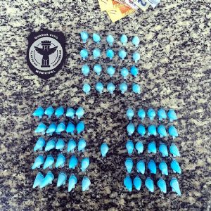 Mo�a � presa acusada de tr�fico no Jardim Ip�