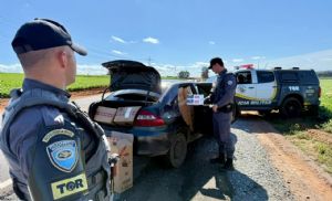 PM Rodoviria apreende carga gigante de cigarros contrabandeados