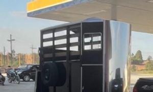 Trailer para transporte de cavalos � furtado de s�tio em Pilar do Sul