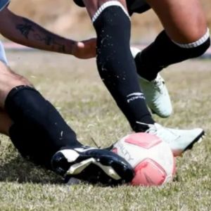 Transcarvalho, Porto e Curi�: os grandes campe�es municipais