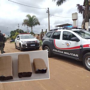Maconha � encontrada em empresa onde detentos trabalhavam