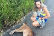 ​Ona  encontrada morta na rodovia SP-264, no bairro da Ilha