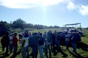 Integrantes do Movimento Social do Campo ocupam fazenda na Ponte Alta