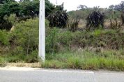 Cidado denuncia suposta colocao irregular de postes na estrada para Tapira