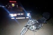 Motociclista fica ferido ao colidir e matar gua na SP-250, na Lavrinha