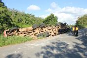 Carreta com cavaco de madeira tomba em vicinal na Vila So Manoel