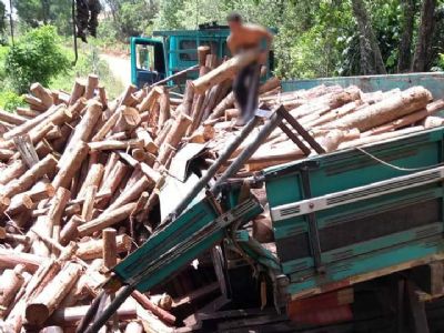 ​Ponte cede e encalha caminho carregado de madeira no Turvinho