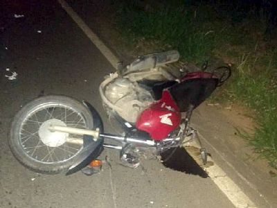 Motociclista fica ferido em coliso contra cavalo na SP-264