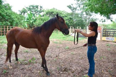 Inscries abertas para o curso Doma Racional de Equinos
