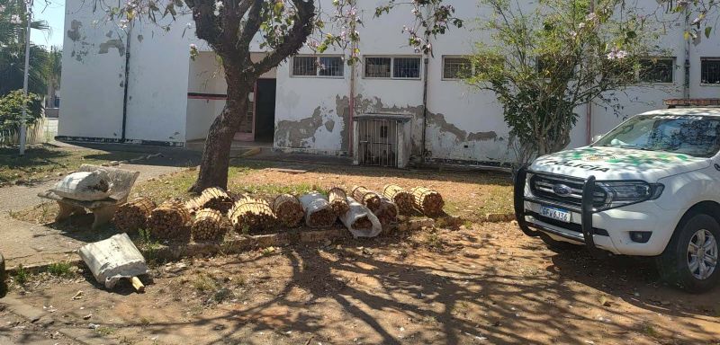 ​Mais de mil hastes de palmito juara so apreendidas em operao contra crime ambiental em Pilar do Sul