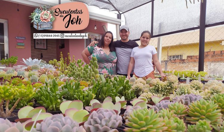 Suculentas da Joh est em novo espao em Pilar do Sul