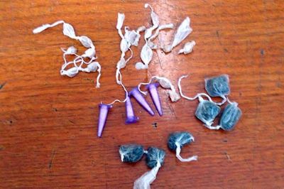 Adolescente  apreendido com droga e enviado para a Fundao Casa