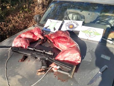 PM Ambiental flagra caador com animais abatidos, espingarda e munies