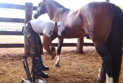 Inscries abertas para o Curso de Casqueamento e Ferrageamento de Equinos
