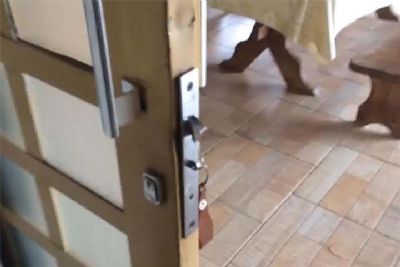 ​Ladres fazem o limpa em chcara no bairro Pinhal de Cima