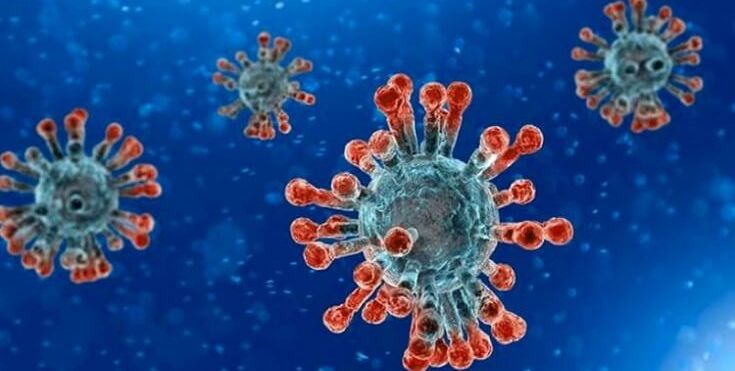 ​Pilar registra mais um bito e 15 novos contaminados com Covid-19