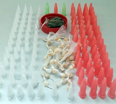 PM prende homem com cocana, crack e maconha na Santa Ceclia