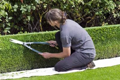 Inscries abertas para o curso gratuito de jardineiro no Sindicato Rural