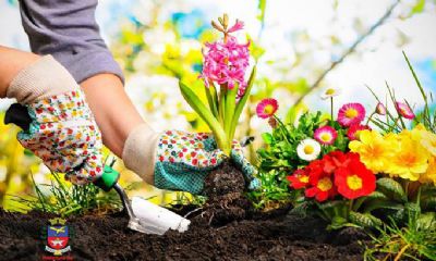 Inscries abertas para o Curso de Jardineiro do Senar