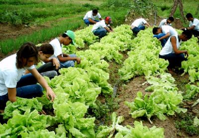 Continuam abertas as inscries para o curso Jovem Agricultor do Futuro