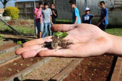 Inscries abertas para o curso Jovem Agricultor do Futuro 2020