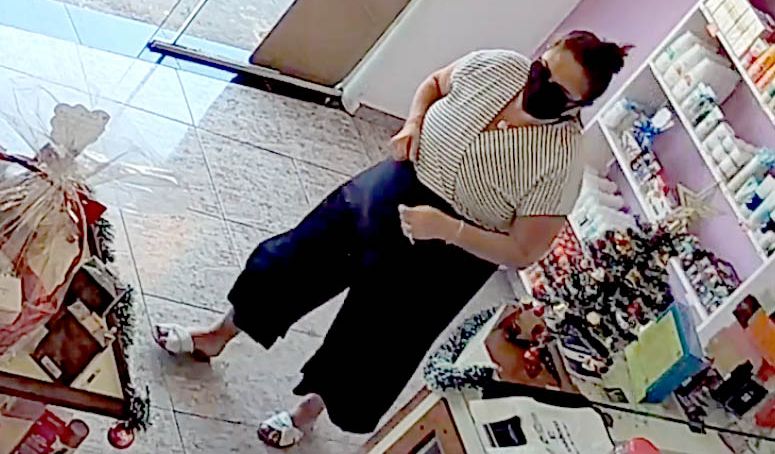 ​Ladra furta loja no bairro Campo Grande