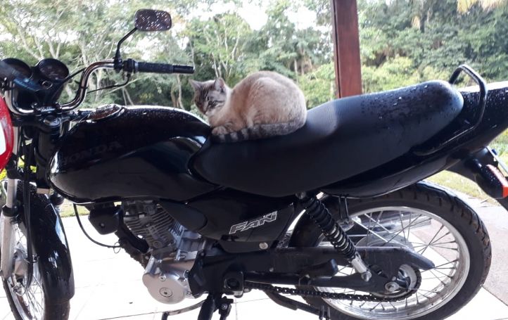 ​Motocicleta Honda CG 125  furtada na Nova Pilar