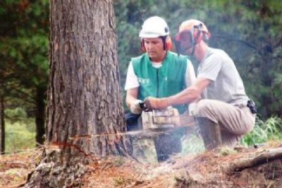 Curso gratuito de Operador de Motosserra no Sindicato Rural