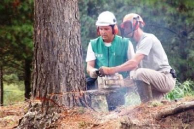 Curso gratuito de Motosserra e Roadeira Lateral no Sindicato dos Trabalhadores Rurais