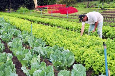 Inscries abertas para o curso Senar de cultivo orgnico de hortalias