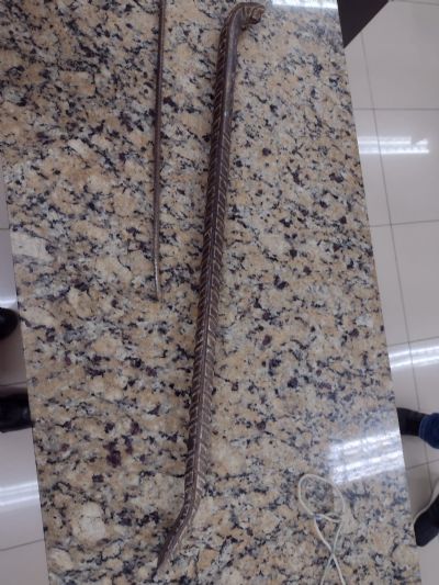 Alarme dispara e ladro  preso em flagrante pela PM